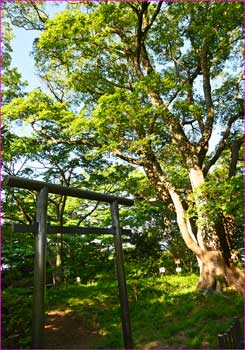 浅間神社