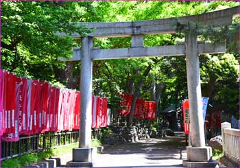 平塚八幡宮脇鳥居