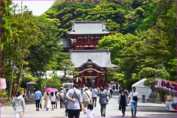 鶴岡八幡宮