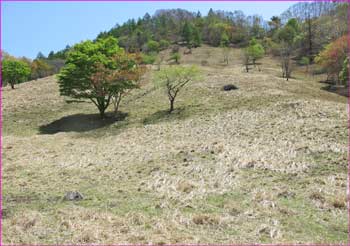 丸川峠草原