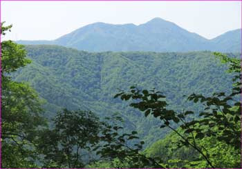 雁ヶ摺山