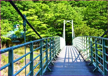 西沢出合の吊橋