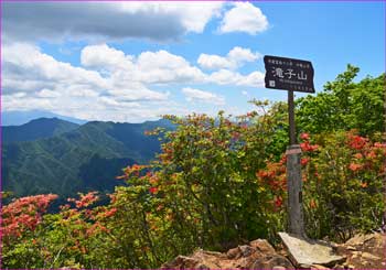 滝子山山頂