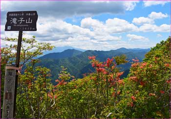 滝子山頂