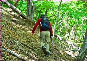 登山者