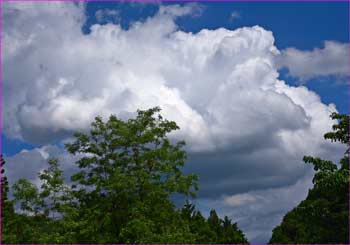 夏雲が