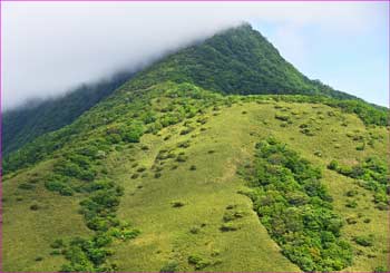 金時山