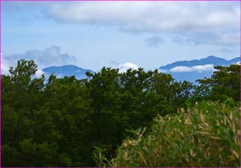 丹沢の山