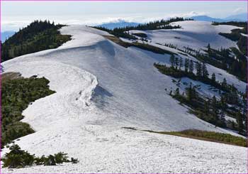 中門岳雪尾根