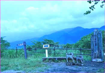 大野山山頂