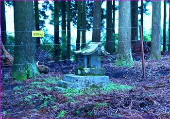 神明社奥社も電柵に