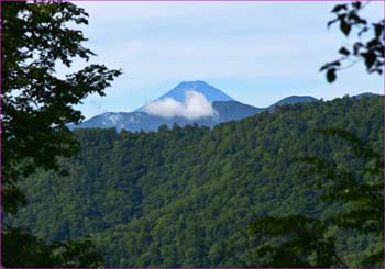 富士山