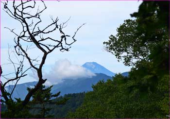 富士山