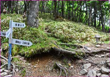 飛龍山分岐