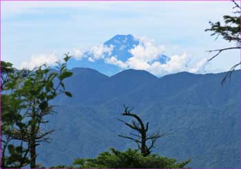 富士山望む