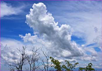 湧く雲