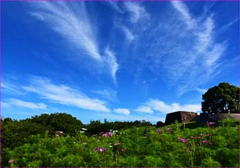 吾妻山公園快晴