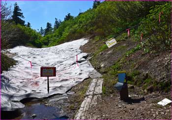 水平道分岐