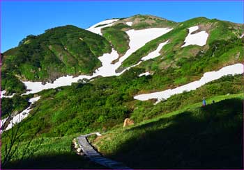 朝日岳望む