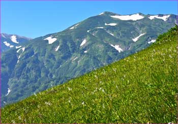 雪倉岳