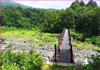 針金の橋