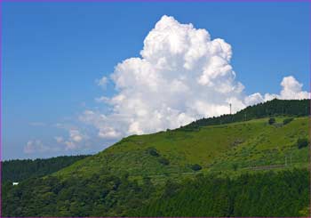 大野山夏雲