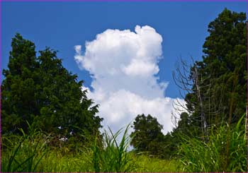 雲わく