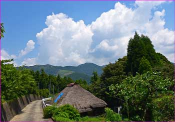 高杉夏の景