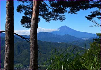 富士山展望