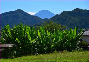 富士山