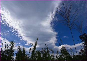 雲ゆく