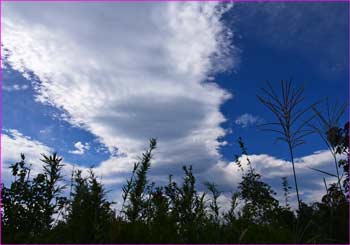 雲ゆく