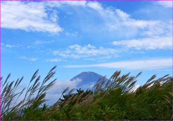 富士山見ゆ