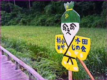 親父の田圃も実って