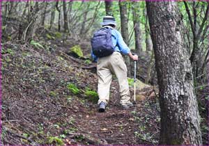 年輩登山者