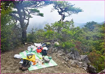 清八山山頂で