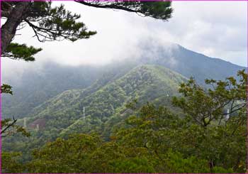 三ツ峠雲に