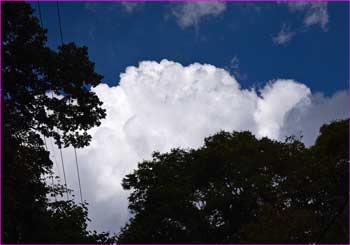 見上げれば白雲が