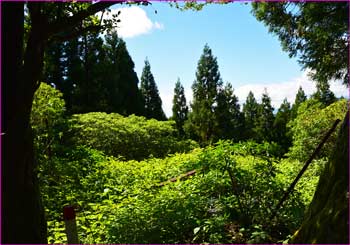 ミツバ岳山頂