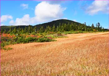 田茂萢岳