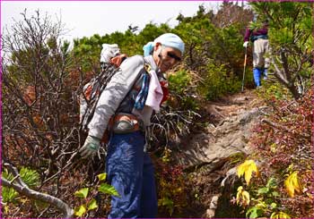 年輩登山者