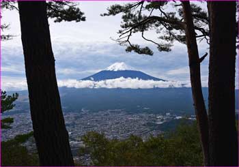 松林に富士山