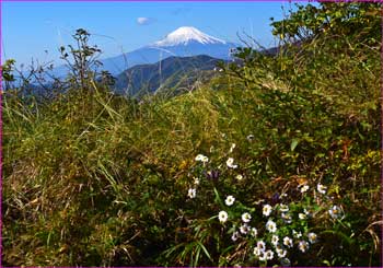 富士山