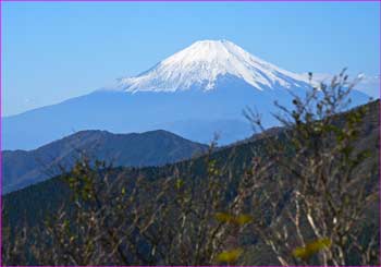 行者ヶ岳からの富士山