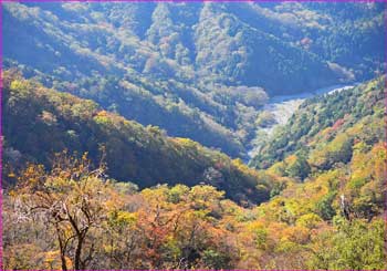 鍋割沢の紅葉