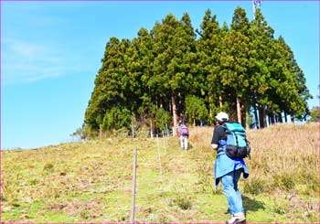 薫る野牧場