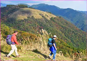 大野山下山