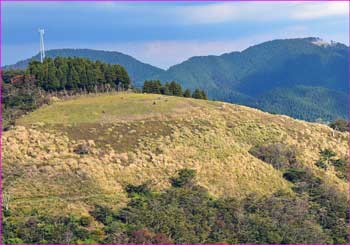 薫る野牧場