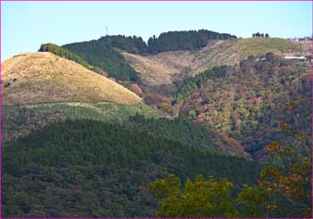 大野山