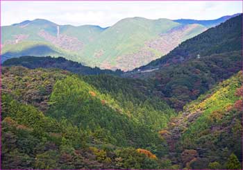 西側の山展望